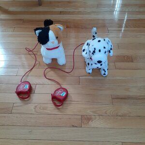 Walking , barking/ meowing cat and dog